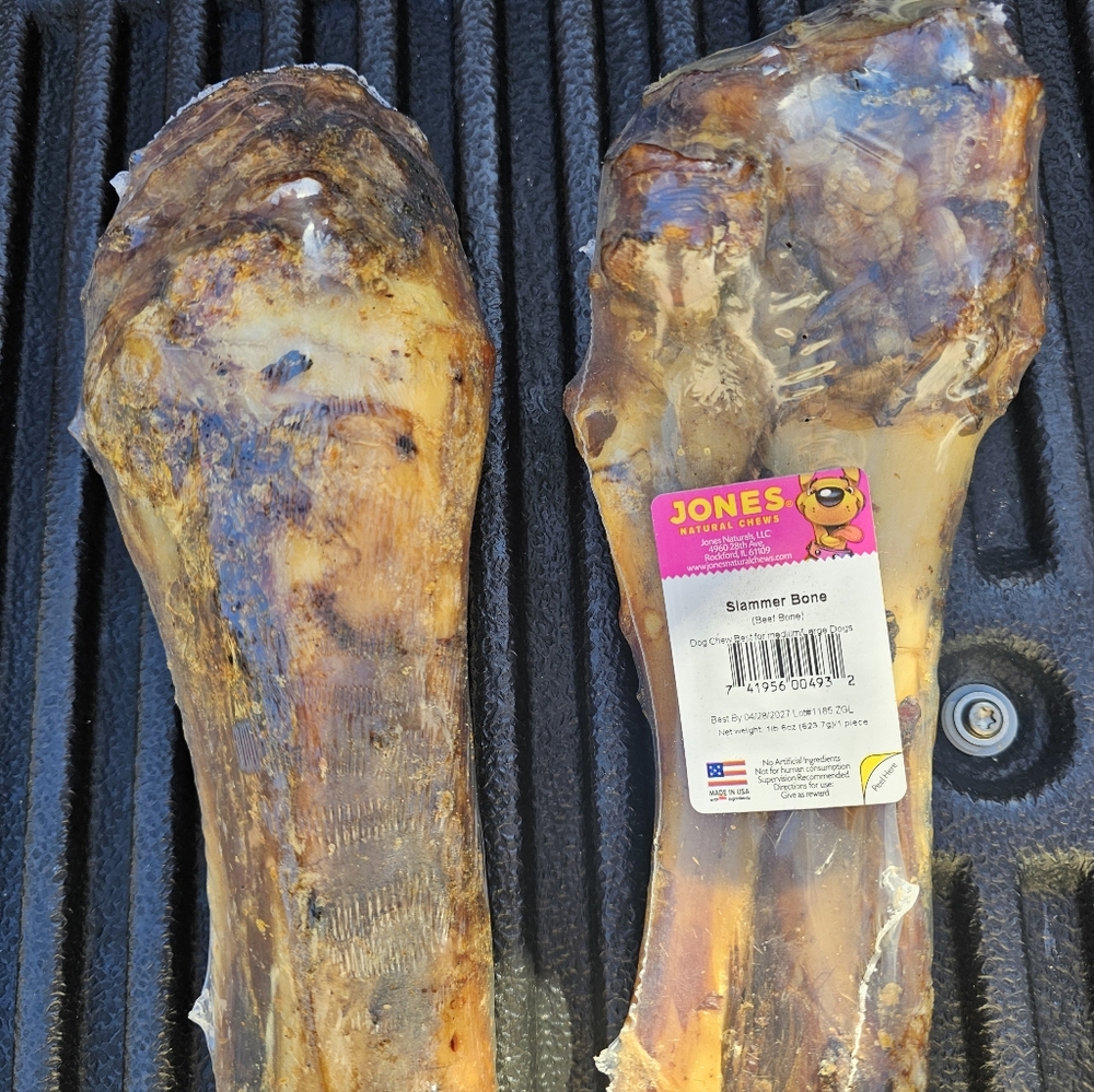 Giant Slammer Bones X 2 NWT